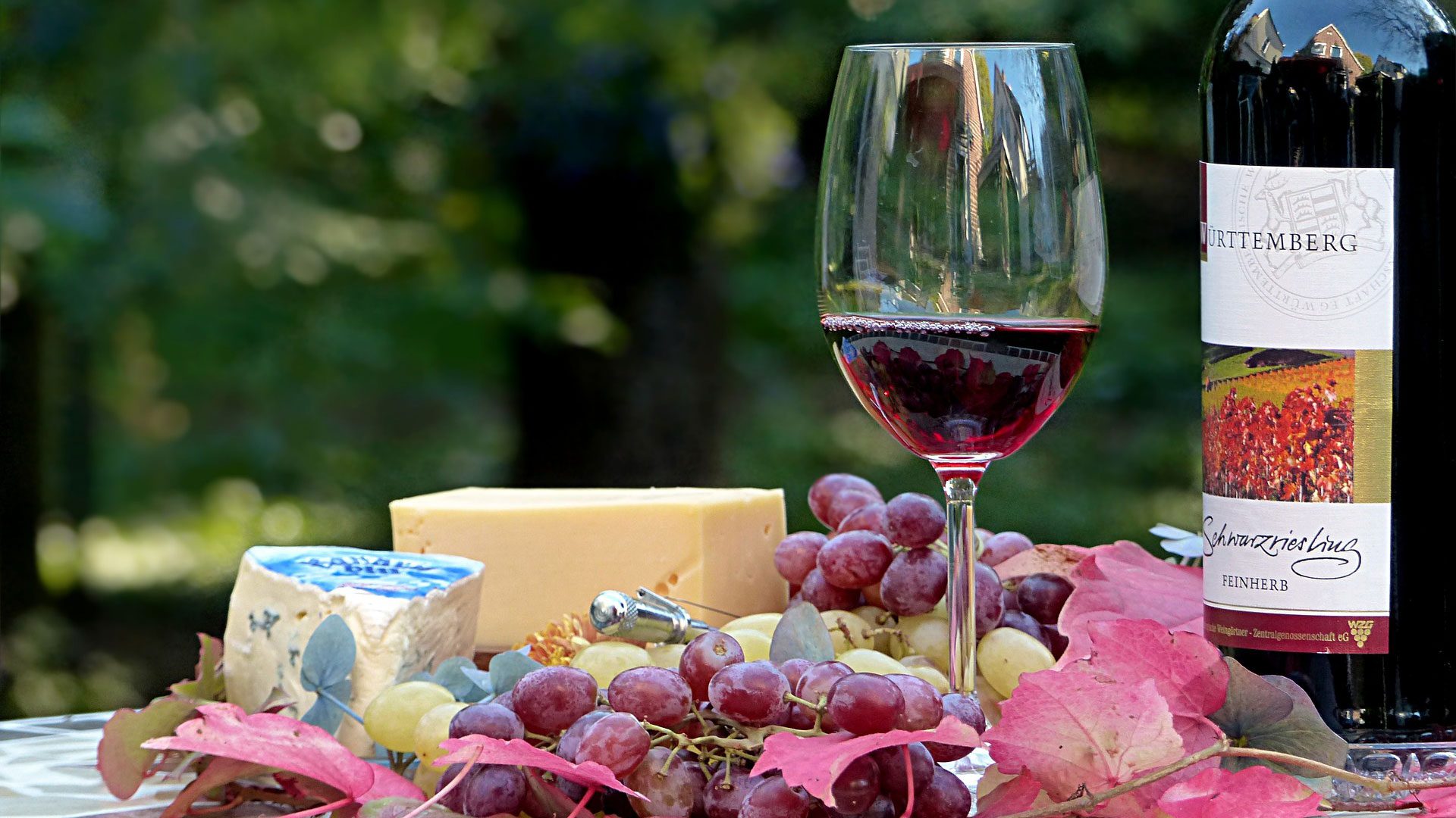 wine & cheese pairing singles
