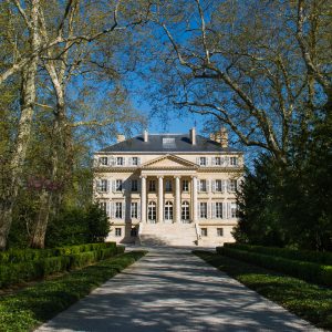 platinum wine tasting course in mayfair
