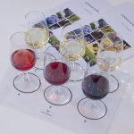 classic beginners wine course