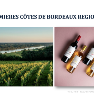 Premières Côtes de Bordeaux Region Wine Tasting 17 March 2025